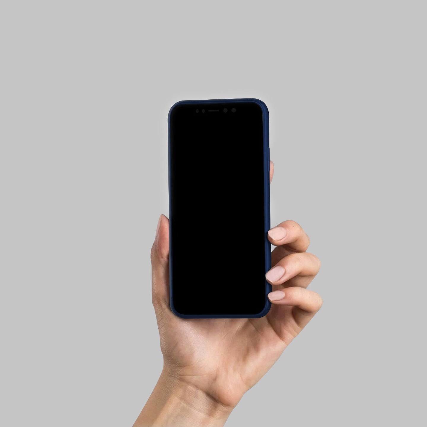 #color_navy