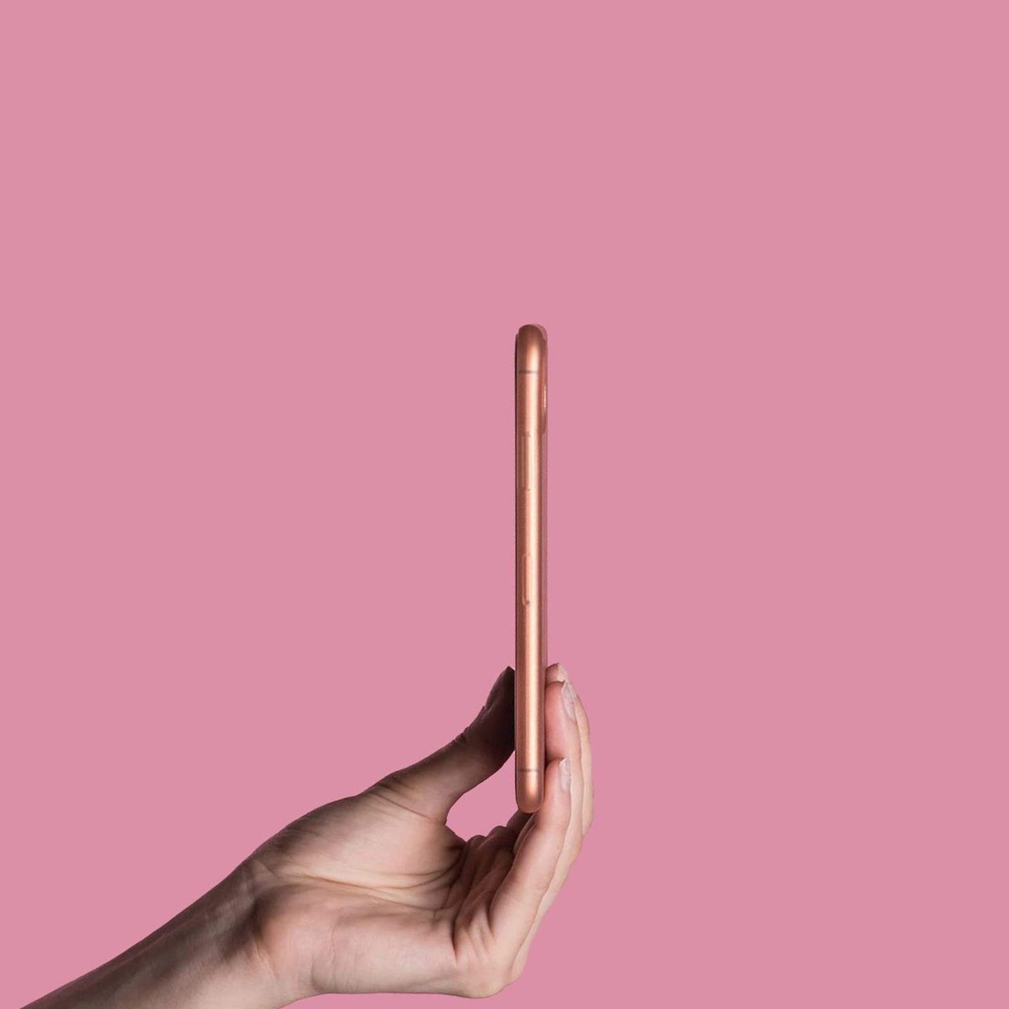 #color_rose
