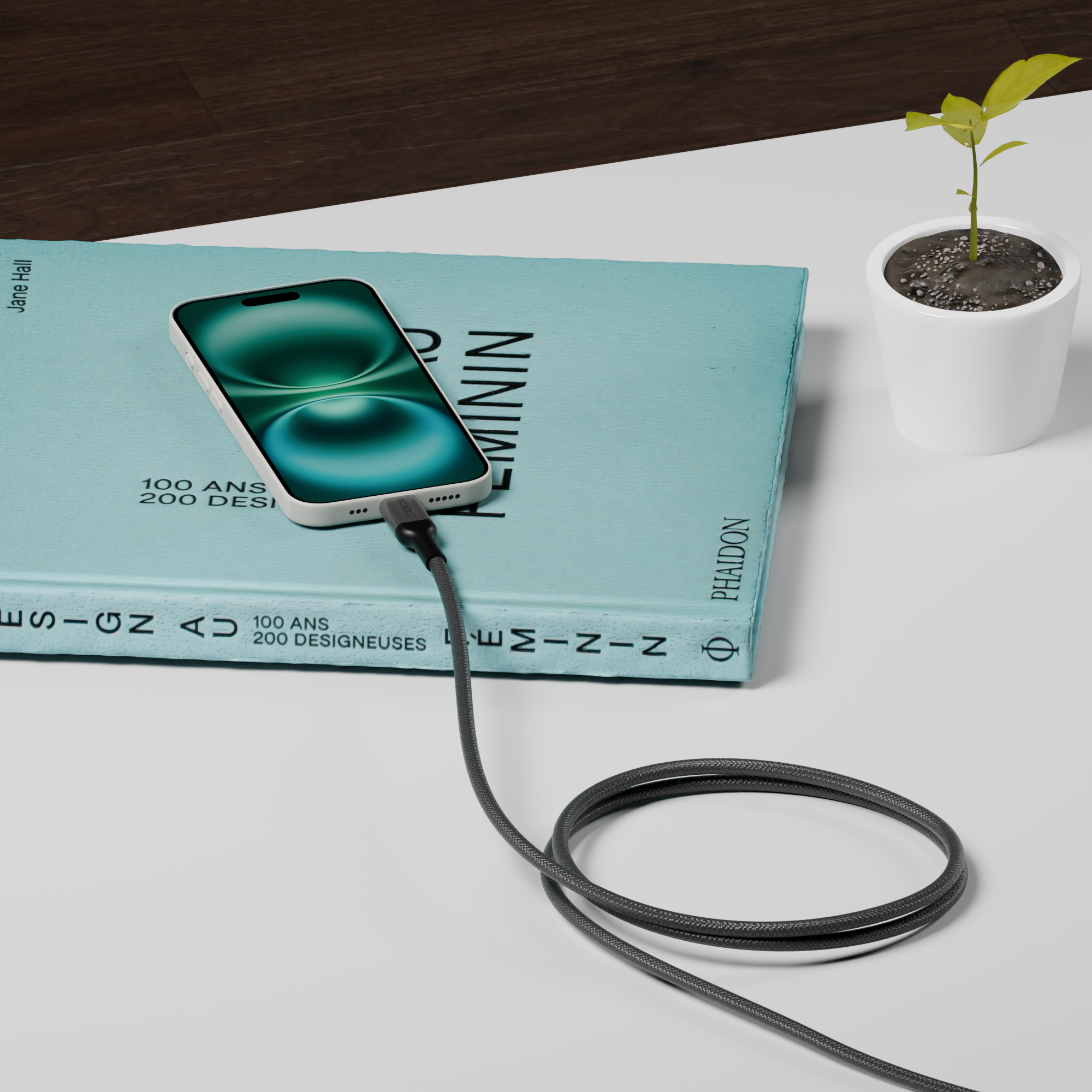 3ft USB-C Cable by CODi