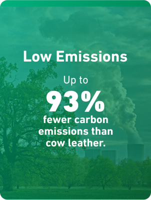 Sustainability feature
