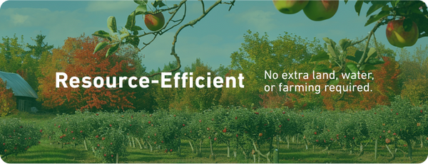 Sustainability feature