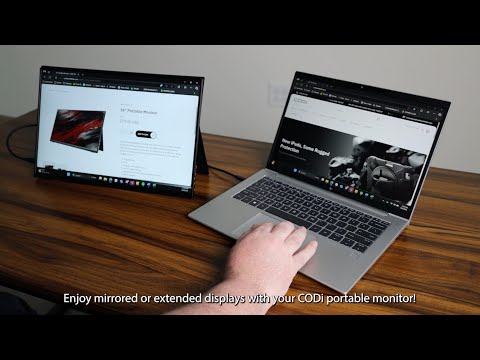 16" Portable Monitor
